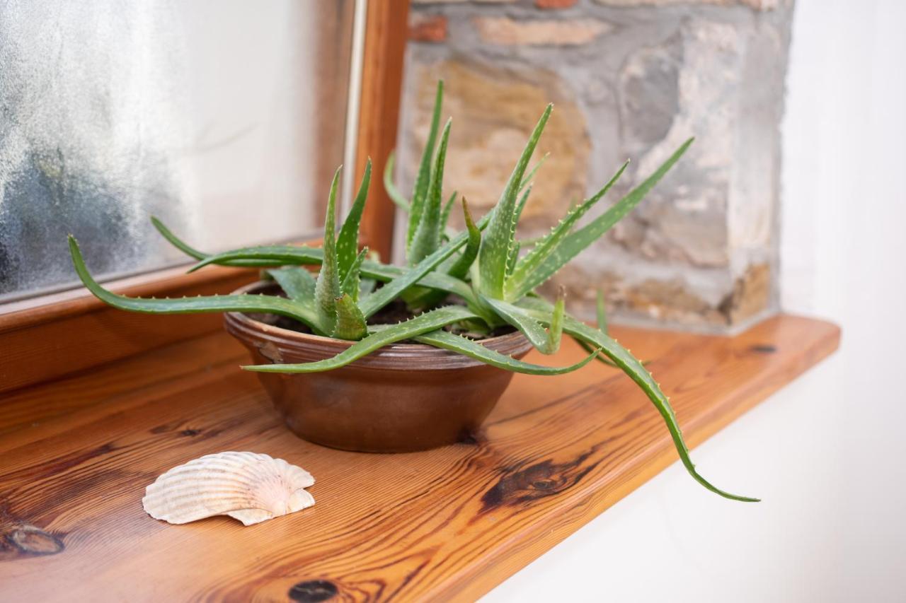 Apartment Studio May Piran